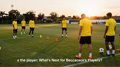 La Selección de Ecuador: ¿qué pasó con los jugadores de Beccacece?